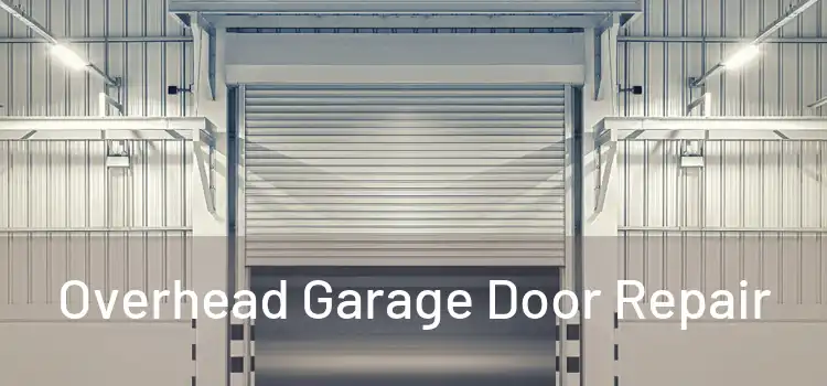  Overhead Garage Door Repair 